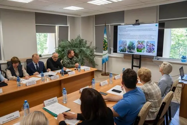 Специалисты выступили за исключение трахикарпуса, павловнии, буддлеи и пуэрарии из перечня агрессивных растений Краснодарского края — сейчас эти виды подлежат уничтожению.