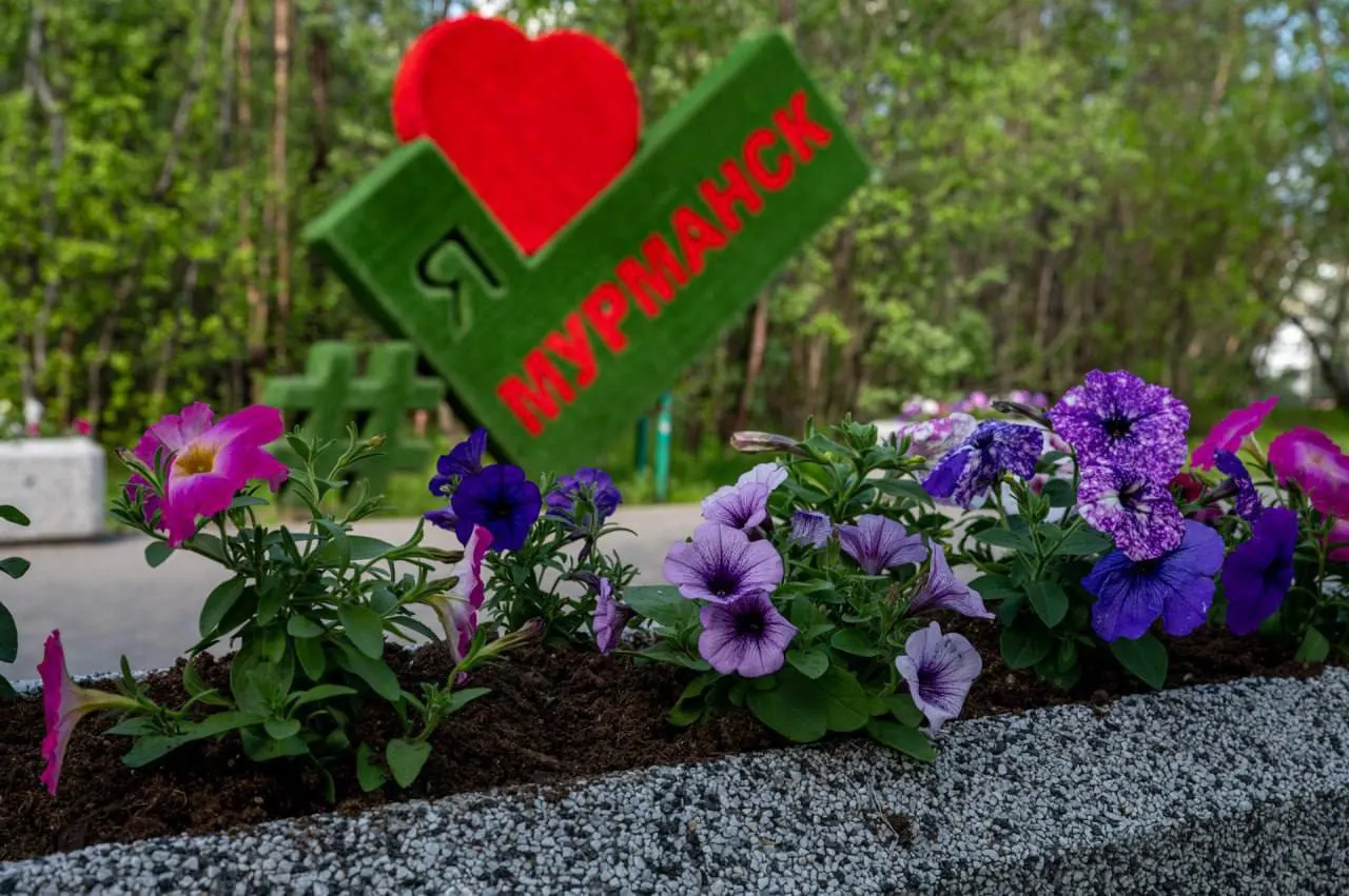 В 2026 году на 54 объектах Мурманска планируют высадить 175 480 растений. В 2025 году вывезли более 2 тысяч м³ мусора и собрали десятки тысяч килограммов автомобильных покрышек.