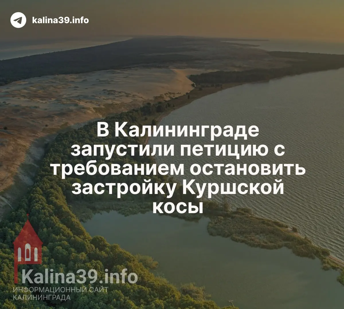 Жители и активисты требуют расторжения договора с застройщиком и проверки экологических экспертиз — петицию подписали около 3,5 тыс. человек за первые сутки.