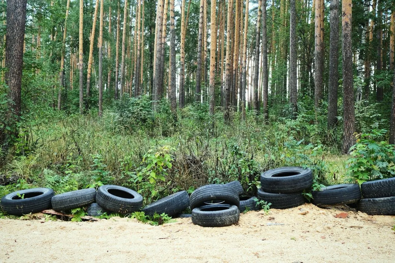На базе городской инспекции по охране окружающей среды планируют организовать специализированную структуру для приёма, перевозки и переработки старых шин — это поможет сократить несанкционированные свалки и снизить расходы на их ликвидацию.