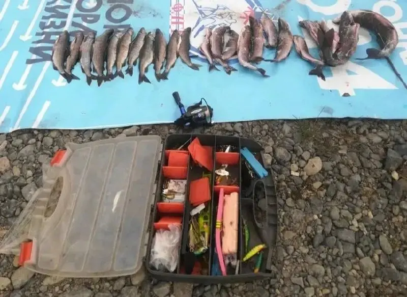 Во время рейда в Джилинском заказнике инспекторы остановили два автомобиля и изъяли охотничий карабин, рыбу, диких птиц, саженцы и мясо, которое направили на экспертизу. На месте составлены протоколы, проводится проверка.