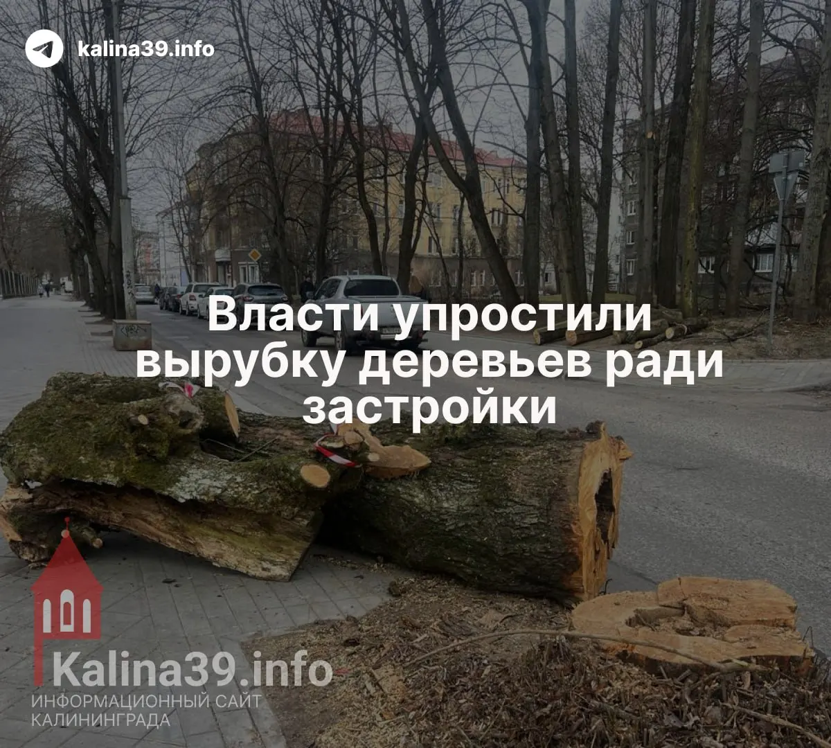 Депутаты внесли поправки в закон об охране зеленых насаждений: компенсационное озеленение теперь можно проводить в любой части муниципалитета, а не в радиусе 500 метров. Эксперты предупреждают, что изменения облегчат массовые вырубки и могут навсегда лишить районы зелёных зон.
