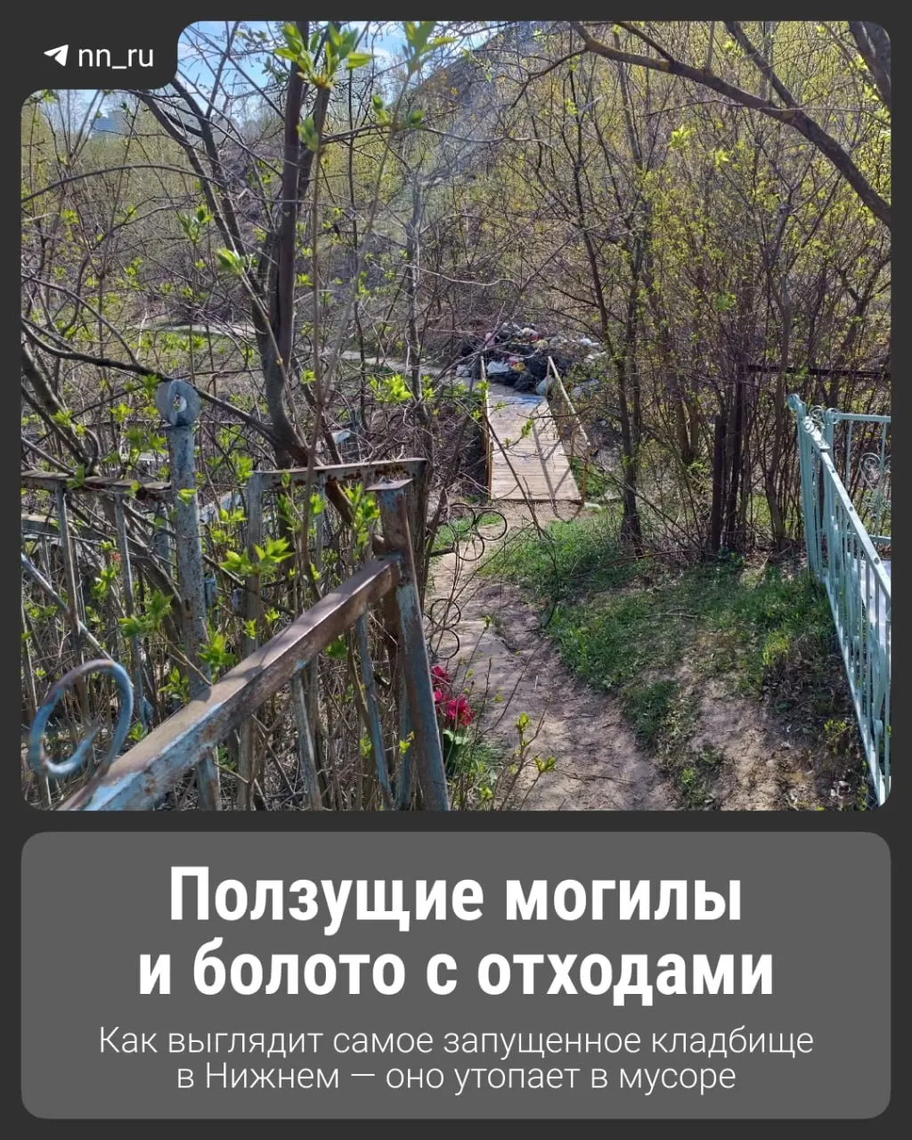 Кладбище за улицей Ванеева забито мусором, часть захоронений сползает в заболоченную землю, однако родственники продолжают приходить на могилы.