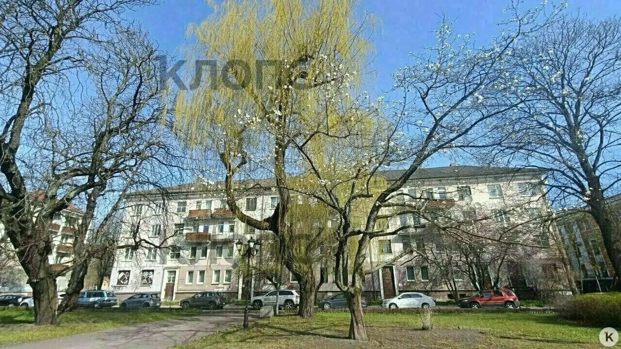 Управление благоустройства зафиксировало несанкционированную обрезку крупных ветвей магнолии до 2,8–3 м по окружности кроны. Разрешения не выдавали, по факту начнут проверку правоохранительные органы.