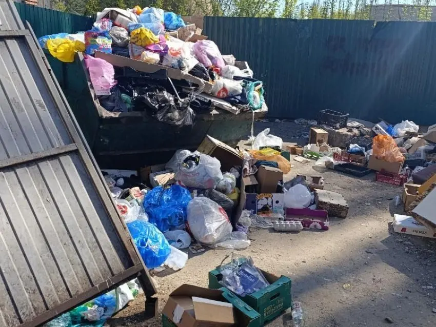 На улице Хользунова образовалась крупная стихийная свалка: отходы вытянулись за пределы контейнерной площадки и заняли часть проезжей части рядом со школой и военкоматом. Жители жалуются на запах и ежедневное пополнение отходов.