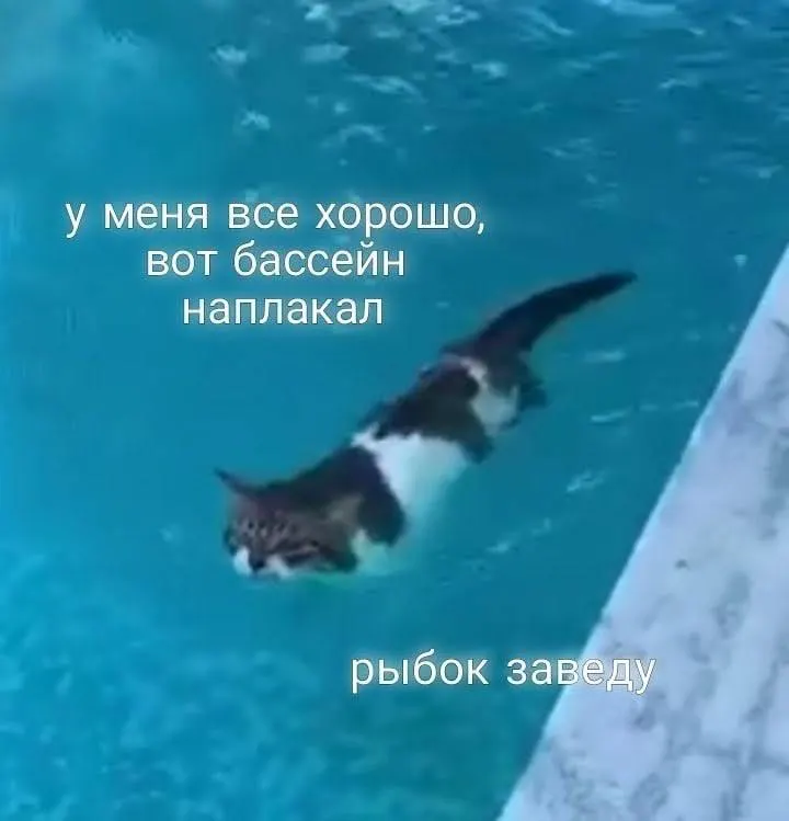 Арбитраж удовлетворил иск ведомства к региональному оператору ТКО: компенсация назначена за системные нарушения графика вывоза, ненадлежащее содержание контейнерных площадок и тысячи жалоб от жителей.