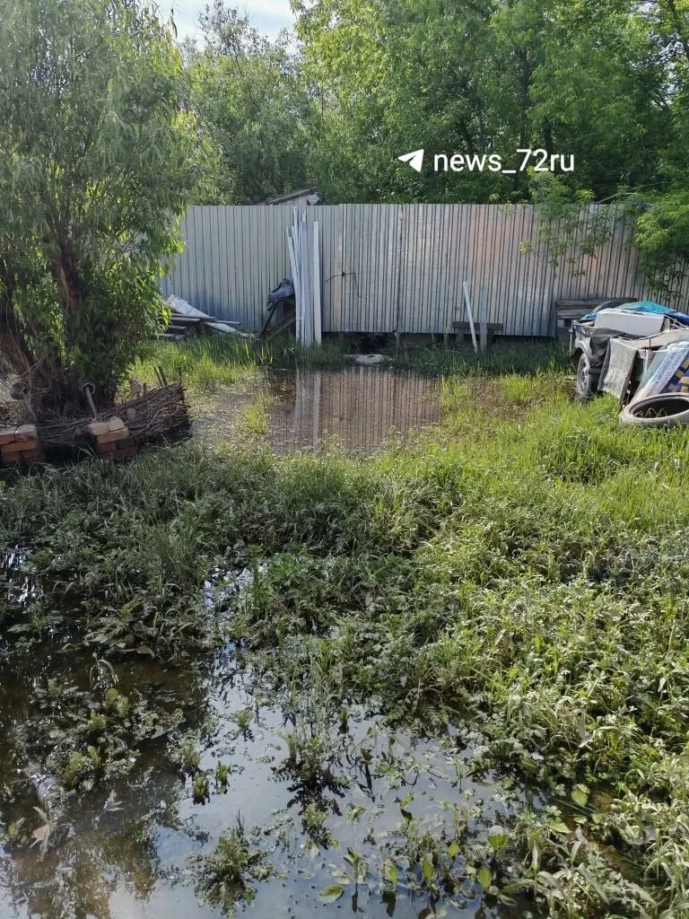 Жители Госпаровской жалуются на 40 см воды на участках, запах и разложение нечистот. Власти говорят, что работы ведутся, но откачки фактически не было.
