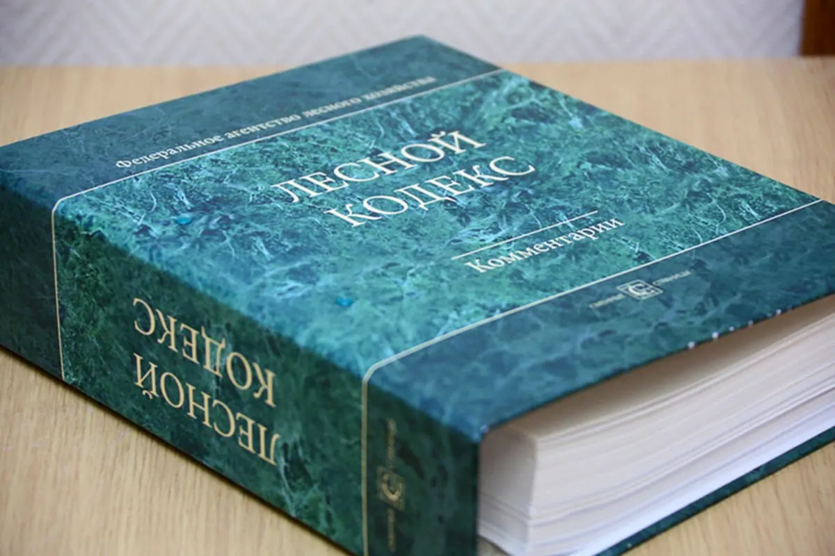 Кодекс, принятый в 2006 году, претерпел десятки поправок; специалист по лесному хозяйству считает, что его нужно радикально упростить и заменить новым документом, чтобы снизить риски для бизнеса и профессионалов.