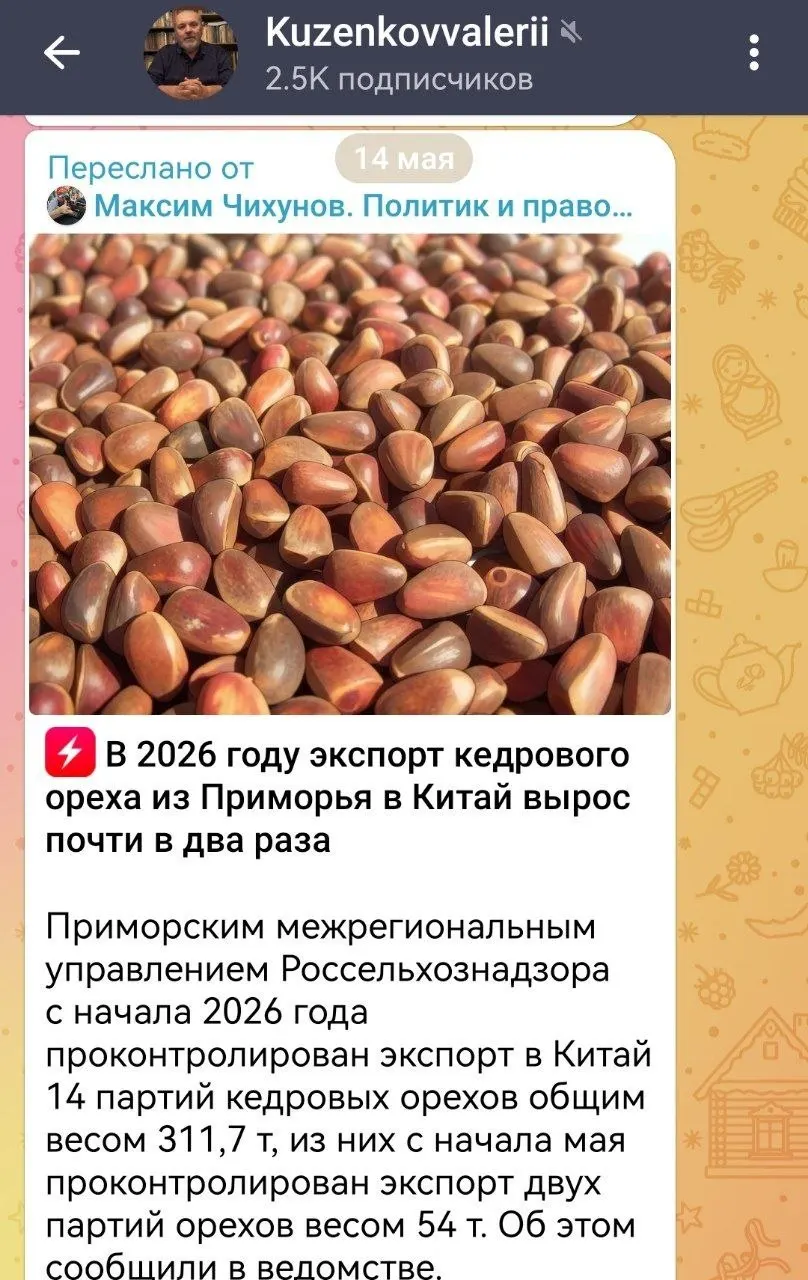 Власти и эксперты фиксируют примерно двукратный рост поставок кедрового ореха за рубеж за 1,5 года; это возвращает обсуждение причин дефицита шишки и выхода тигров к людям на федеральный уровень.