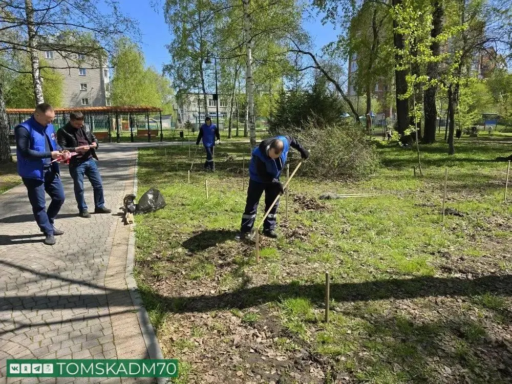 В Буфф‑саду планируют посадить 12 яблонь и 15 кустов гортензии в начале июня. Инициативу приурочили к юбилею одной из телерадиокомпаний; подготовительные работы уже проведены.