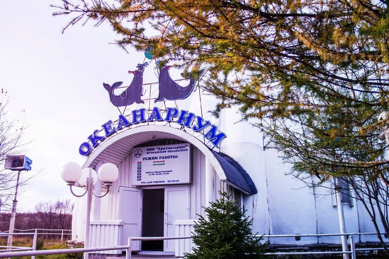 Сотрудники мурманского океанариума уже более трех месяцев остаются без зарплаты и обратились в прокуратуру. За животными продолжают ухаживать около десяти сотрудников, а их дальнейшая судьба вызывает опасения у специалистов.