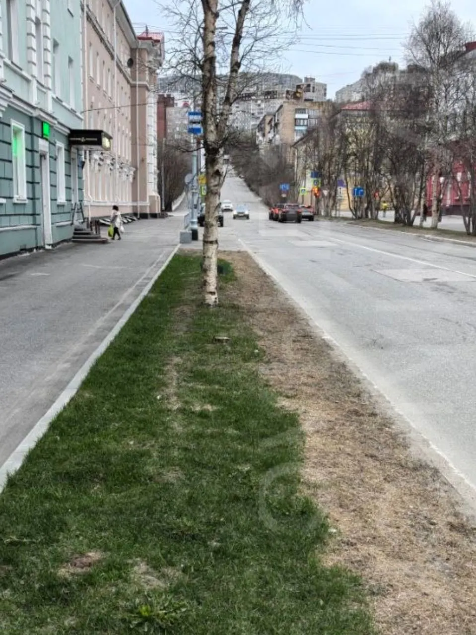 Зелёные покрытия, которые ранее укладывали в центре города, оказалось уничтожены реагентами: трава и верхний слой почвы погибли в полосах вдоль очищенных дорог.