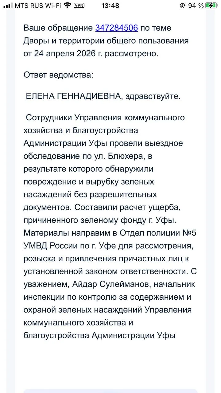 С 23 марта 2026 года жители сообщают о вырубке зелёных насаждений на ул. Блюхера. По их словам, заявления долго оставались без реакции, пока город после многочисленных обращений не выехал на место.