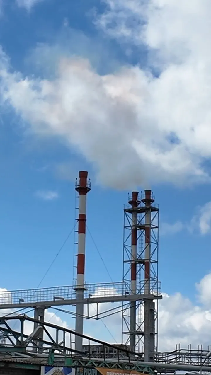 Горожане отмечают громкий шум элеватора и оседание белого налёта на окнах после наращивания мощности производства; депутат пообещал обратиться в природоохранную прокуратуру.