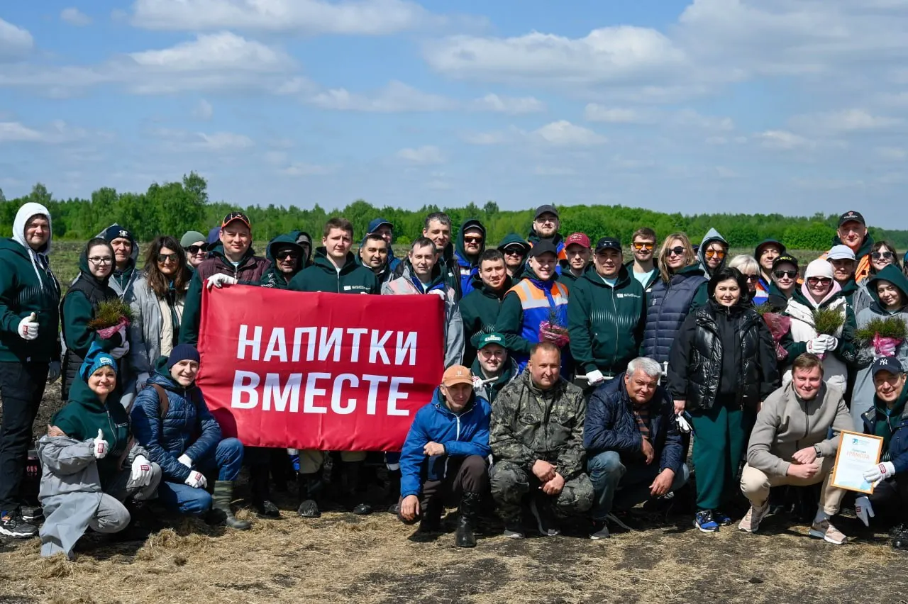 На четырёх гектарах в Омской области высадили 16 тысяч сосен в рамках программы по восстановлению лесов и поддержке экосистем региона.