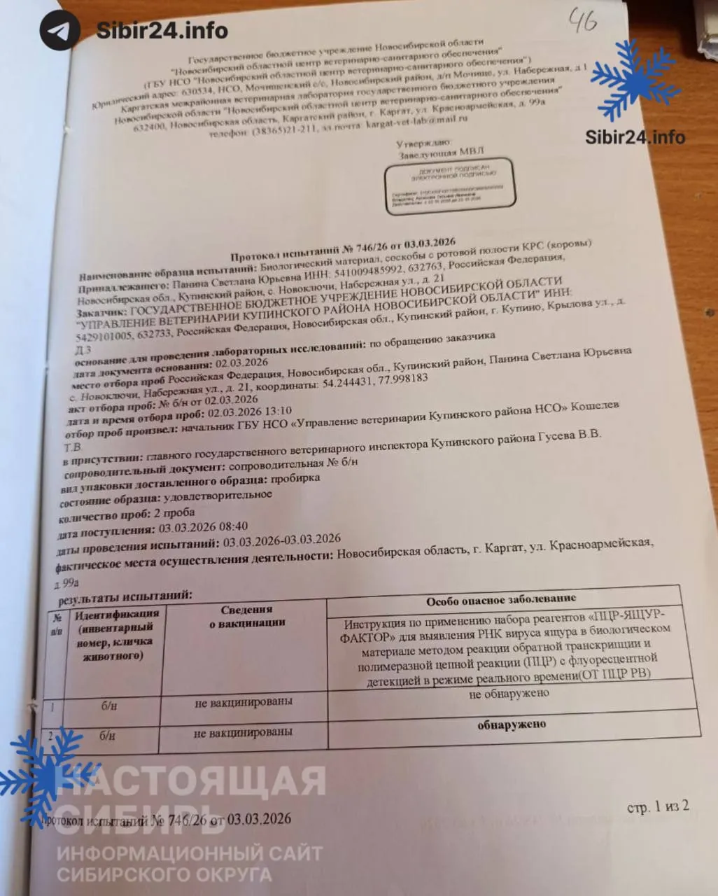 Областной ветеринарный центр обнаружил ящур у коровы на ферме в Новоключах. Ранее власти массово уничтожали животных, ссылаясь на другие заболевания, но не поясняли причины.