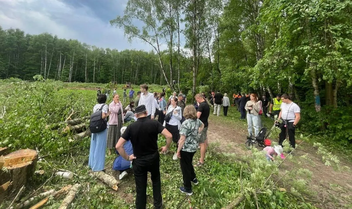 Около ста человек собрались на акции против вырубки деревьев: технику завезли утром 24 мая, к вечеру произошли задержания после приезда префекта.