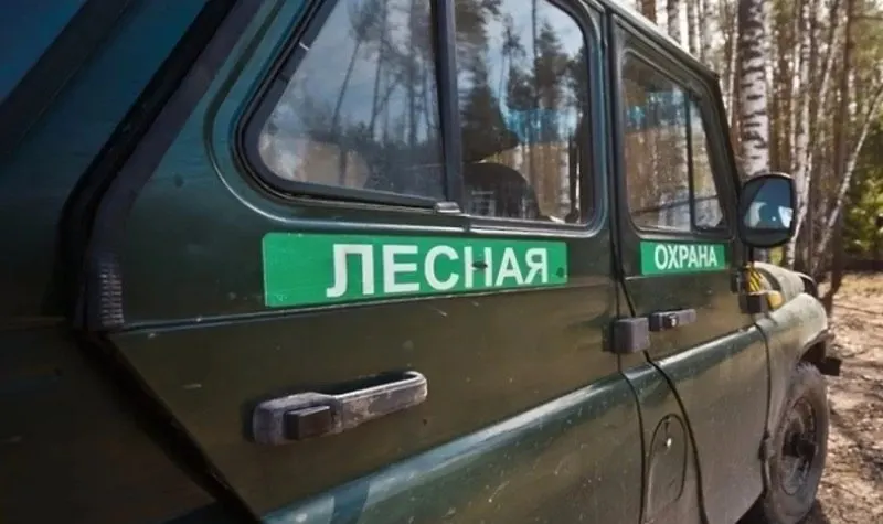 В Томской области стартовал набор добровольцев для патрулирования лесов: после обучения помощники будут следить за пожарной безопасностью, сообщать о нарушениях и помогать лесной охране.