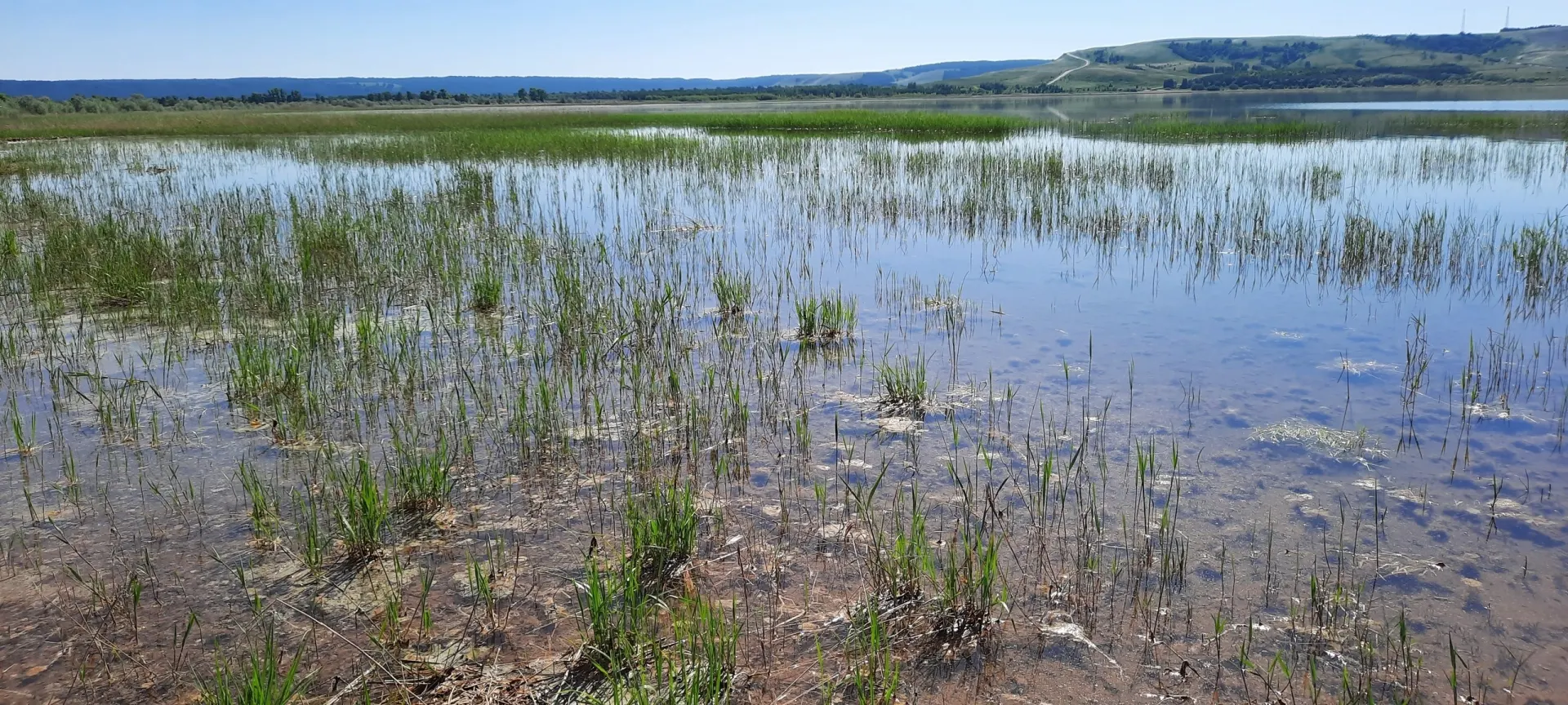 Местный эколог зафиксировал снижение уровня воды в Аслыкуле, заросшее мелководье и отсутствие людей у берега — табличка «Осторожно, тонкий лёд» остаётся на солнце, несмотря на летнюю погоду.