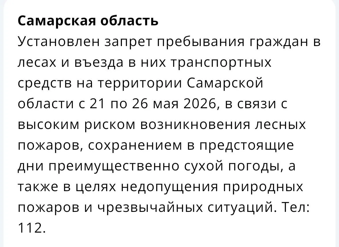 Из‑за сухой погоды и высокого риска лесных пожаров власти вводят запрет на посещение и въезд в леса региона с 21 по 26 мая.