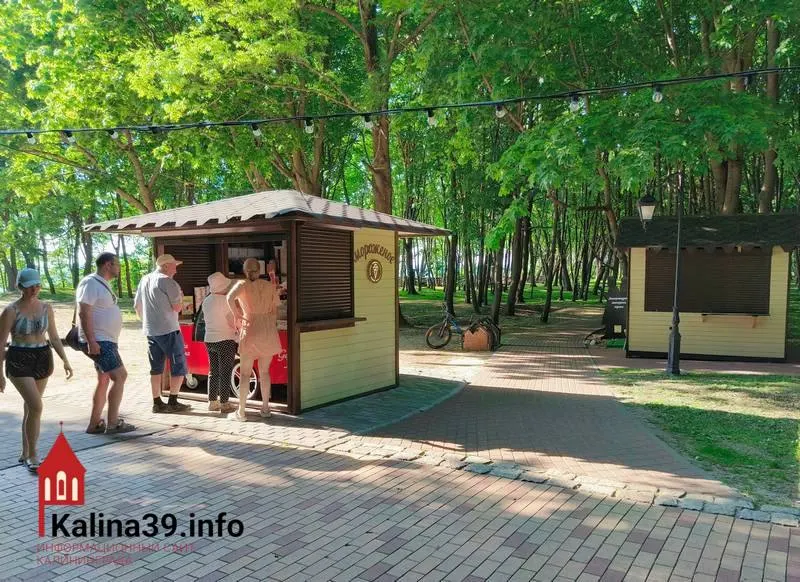 4 июня в молодёжном центре «Лампа» пройдут общественные слушания по проекту реорганизации парка «Янтарный» (парк Беккера). Жители жалуются на плохую информированность, а в документах упоминаются возможная хозяйственная деятельность и параметры капитального строительства на территории ООПТ.
