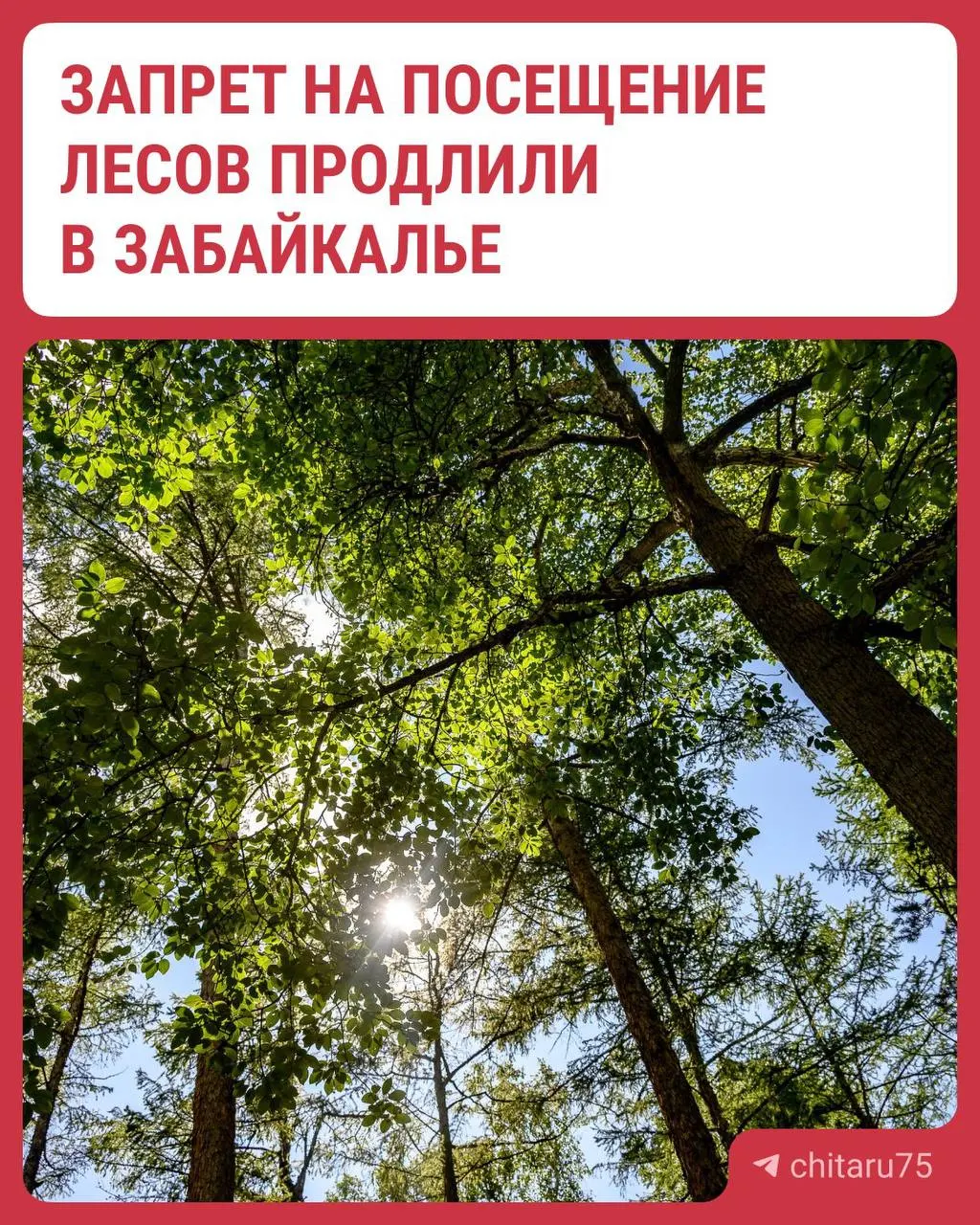 Запрет охватывает большинство районов Забайкальского края. Проезд через лесной фонд возможен только по пропуску; за нарушение правил пожарной безопасности предусмотрены значительные штрафы и уголовная ответственность.