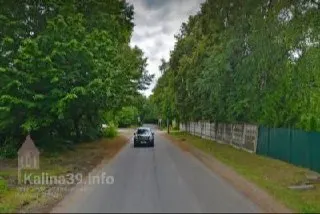 На участке улицы Коммунистической планируют спилить 28 взрослых деревьев для прокладки нового тротуара; власти обещают высадить 22 липы и один куст форзиции.