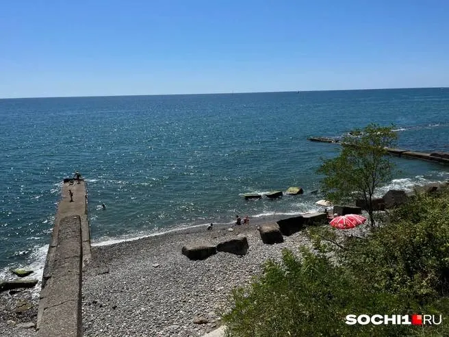 С начала года ведомство исследовало около 2,5 тысячи проб морской воды в акватории Сочи; по результатам исследований вода соответствует гигиеническим нормативам.