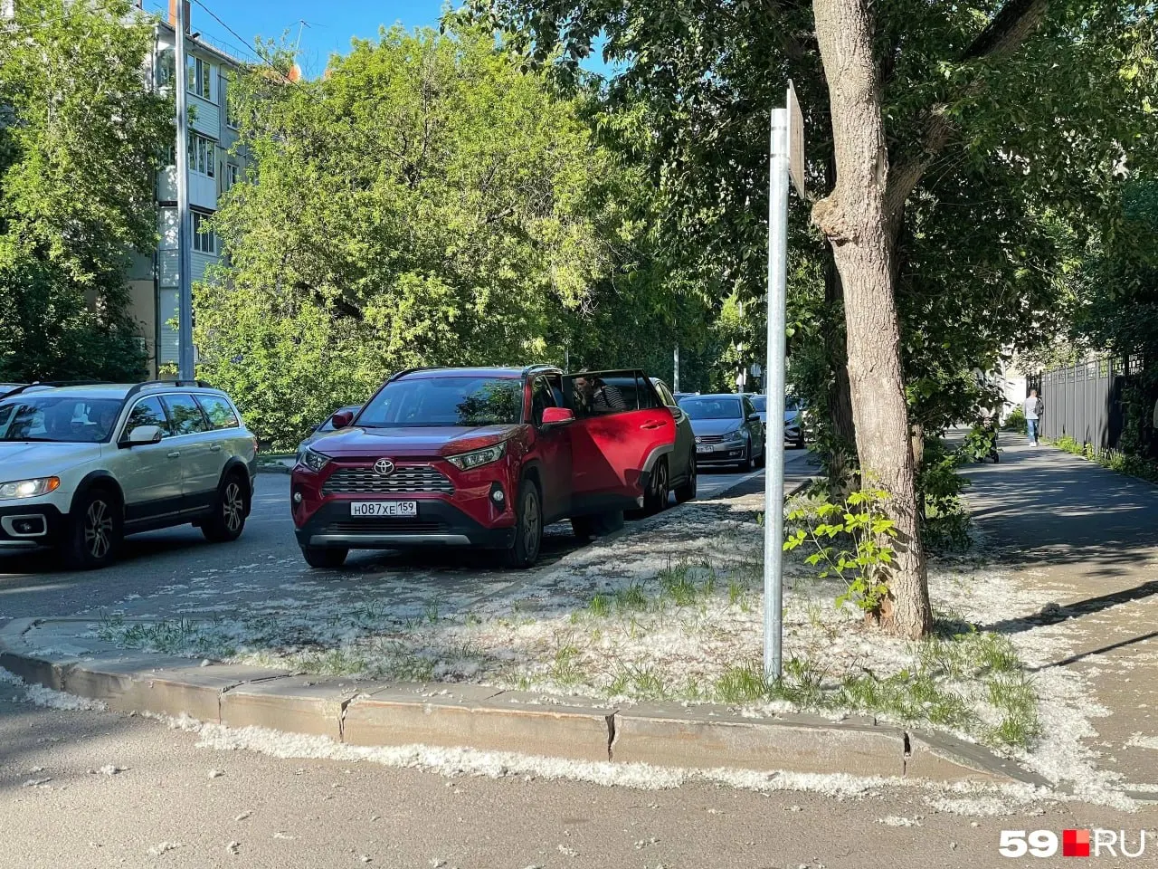 Город засыпает пухом после раннего цветения тополей: ботаник объясняет, почему пуха так много и когда ситуация может нормализоваться.