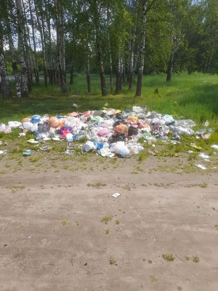 Теймураз Бараташвили обратился к жителям города после появления свалки у озера рядом с зоопарком и напомнил, что забота о природе начинается с простых привычек — не оставлять после себя мусор.