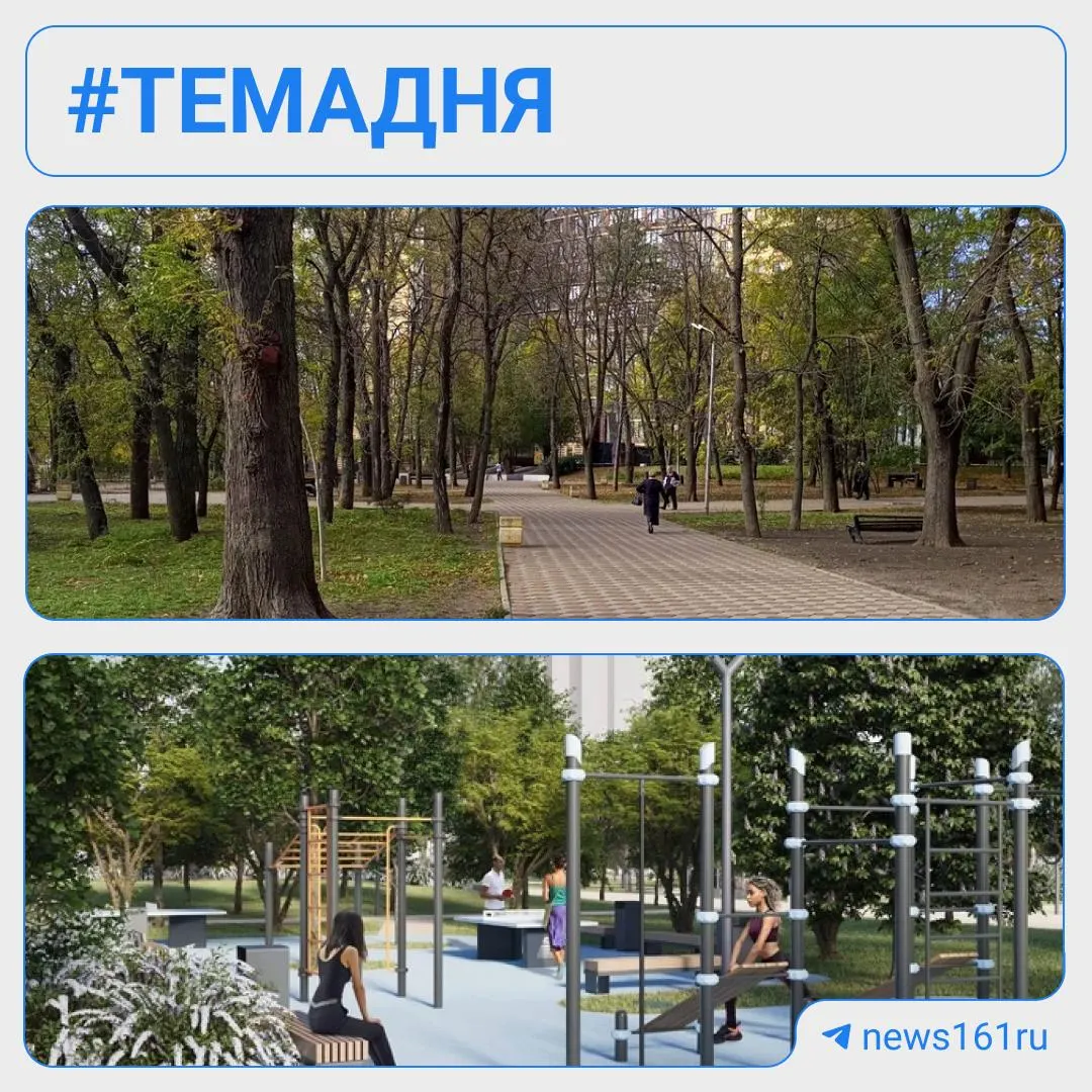 В Октябрьском районе планируют удалить 125 аварийных деревьев на Будённовском в рамках благоустройства парка Строителей — взамен обещают высадить 162 дерева, сотни кустарников и цветов.