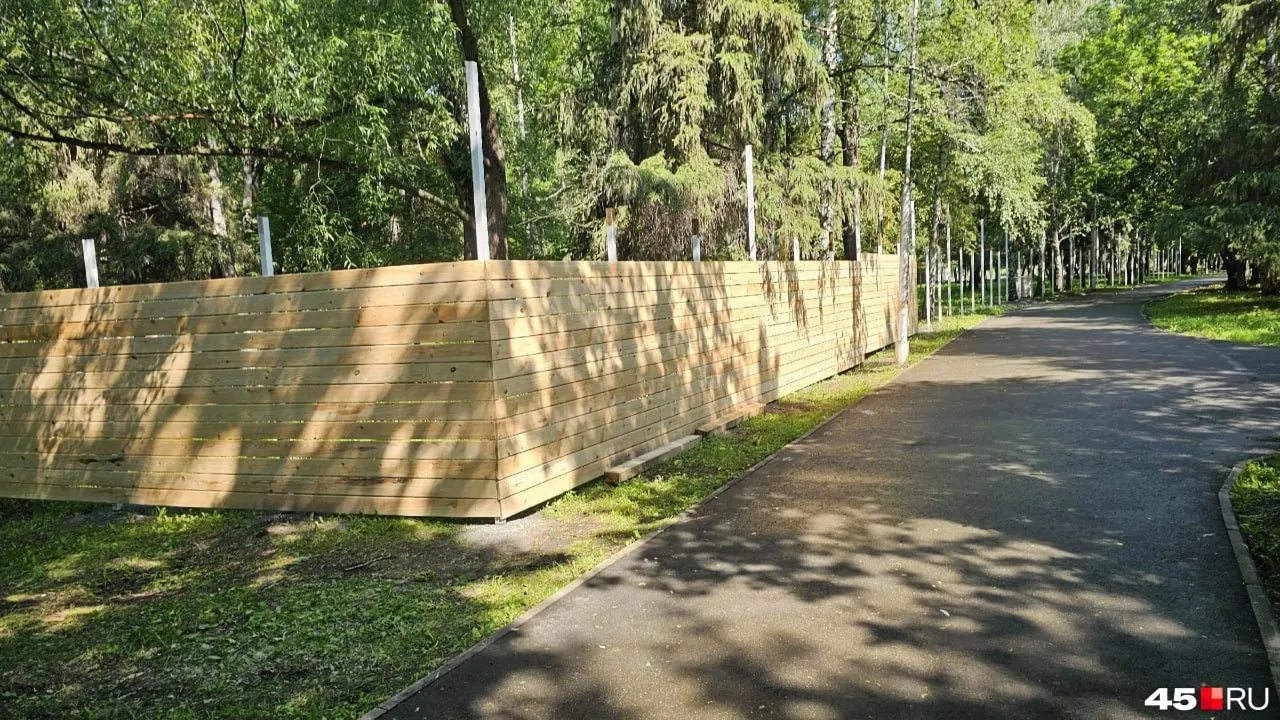 В центральном парке установили ограждения и разметку под парк с альпаками. Жители разделились: кто-то радуется новой аттракции для детей, другие переживают из‑за вырубки деревьев и шума.