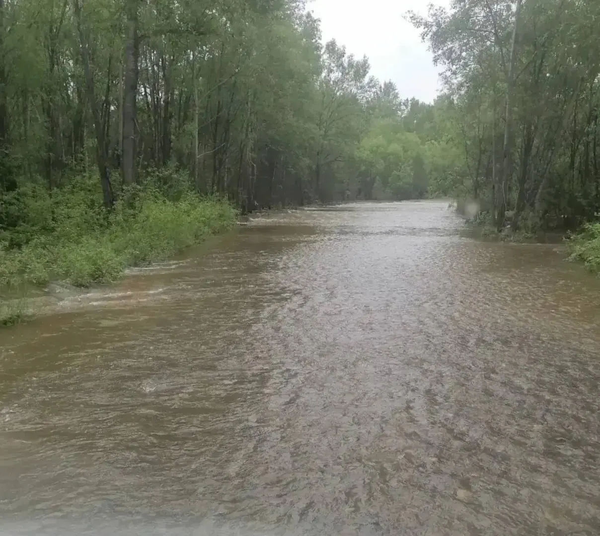 После проливных дождей в Забайкалье поднялся уровень воды в реках Аца и Чикой, из‑за чего подтоплены дороги. На месте работают экстренные службы, жителей просят соблюдать осторожность.