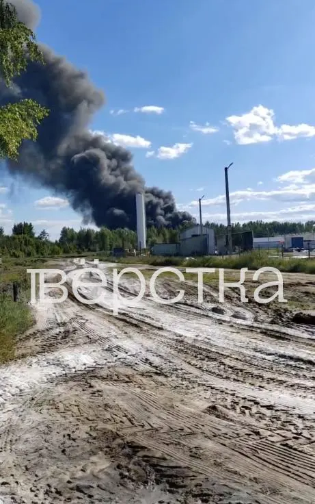 На свинокомплексе в Новохоперском районе зафиксировали вспышку африканской чумы. Животных уничтожают и сжигают в ямах, официального карантина нет, местных просят не публиковать информацию.