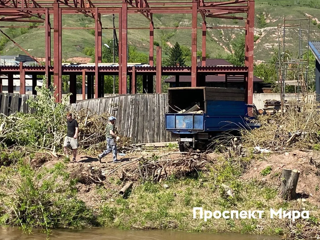 На набережной Качи в Красноярске удалили старые деревья — власти обещают посадить новые растения, но горожане сомневаются в их приживаемости и внешнем виде.