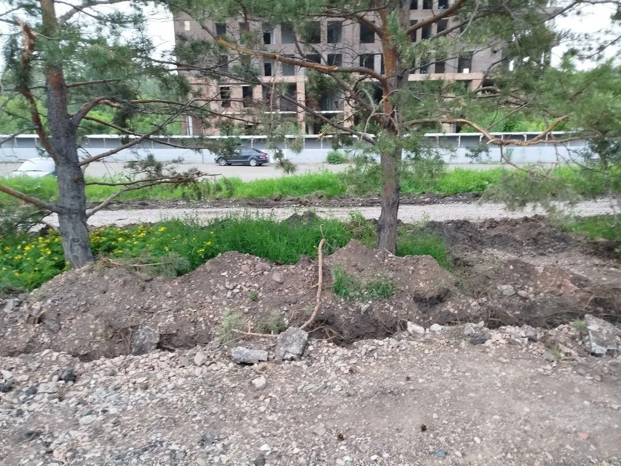 При благоустройстве набережной рабочие выкопали траншею по корням деревьев. В мэрии сообщили о штрафе для подрядчика и возможной высадке компенсационных крупномеров за его счёт.