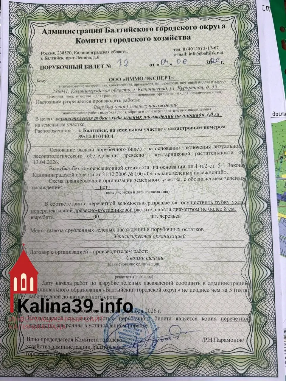 Власти Балтийска выдали разрешение на вырубку трёх гектаров городских защитных лесов в районе Мечниково, находящихся в водоохранной зоне. Экологи требуют проверки законности решения.