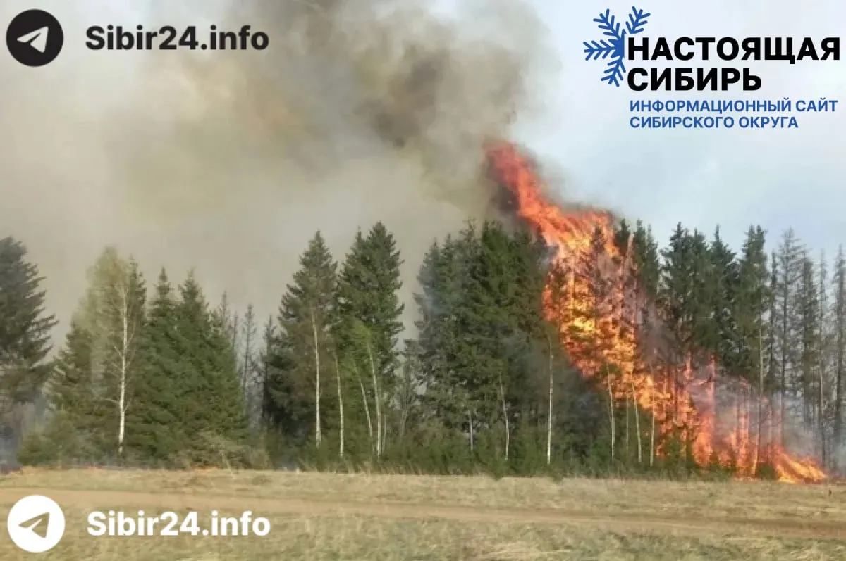 В регионе продолжают гореть 14 лесных очагов; с начала сезона зарегистрировано 91 возгорание на площади более 3 тыс. га. Самая тяжёлая ситуация — в Верхнекетском районе, где с 6 июня действует режим чрезвычайной ситуации.