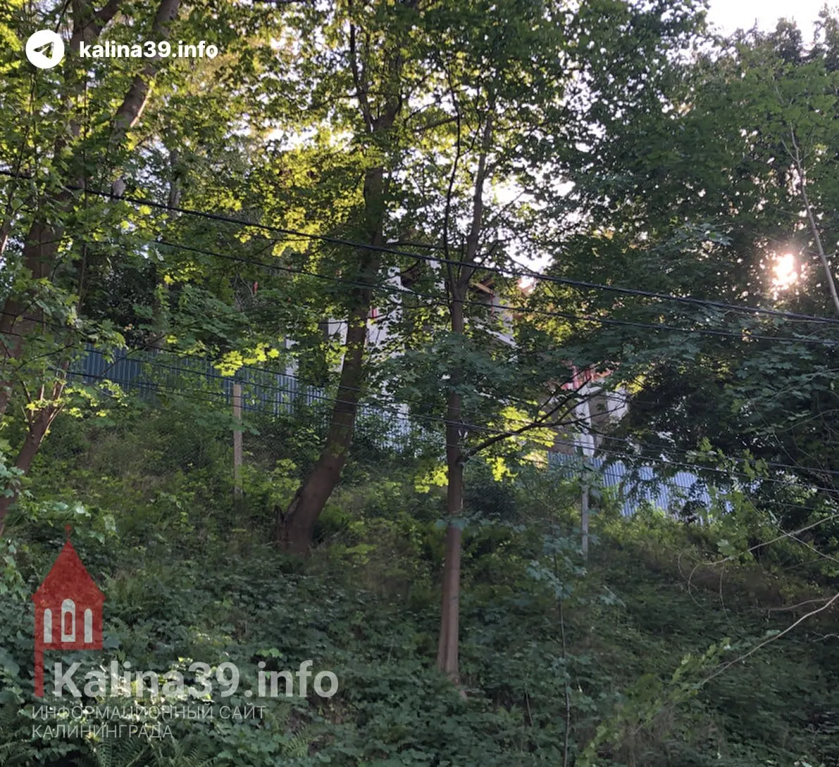 В Калининградской области более 1,2 гектара зелёной зоны на склоне в центре Светлогорска перевели из парков и городских лесов в общественно-деловую зону — под гостиницы, рестораны и туристические объекты.