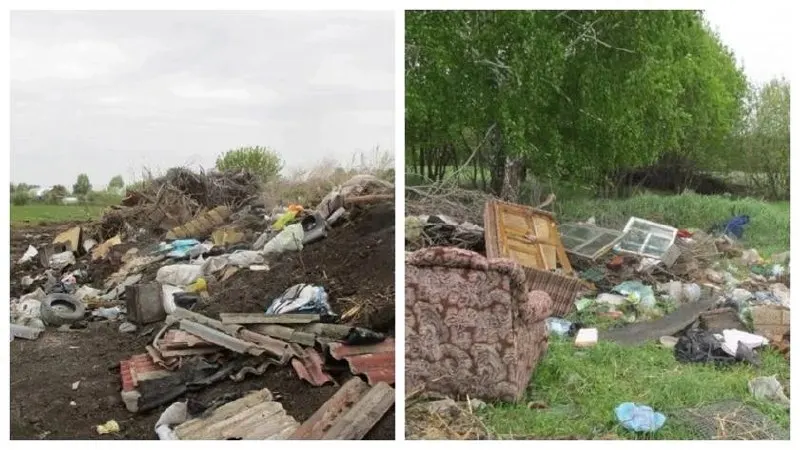 Возле станции Смазнево в Заринском районе выявили несанкционированную свалку бытовых и строительных отходов; анализы почвы показали превышение меди, свинца и цинка.