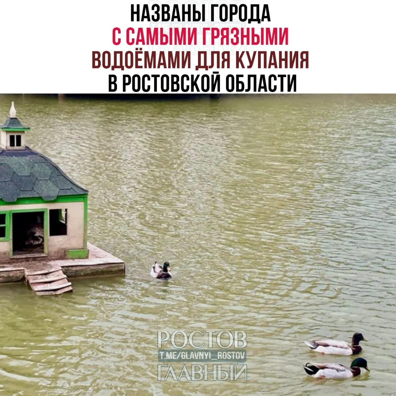 Анализ проб показал, что по микробиологическим показателям лидируют Азов, Батайск и Шахты; по санитарно‑химии наибольшее число нарушений зафиксировано в Ростове.