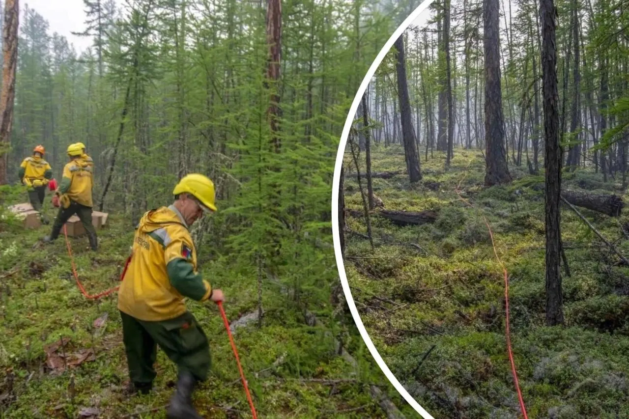 В отдалённых и труднопроходимых участках тайги пожар иногда гасят радикально: прокладывают огнезащитную полосу взрывом детонирующего шнура и затем пускают встречный поджог. Метод эффективен, но из‑за регуляций применяется всё реже.