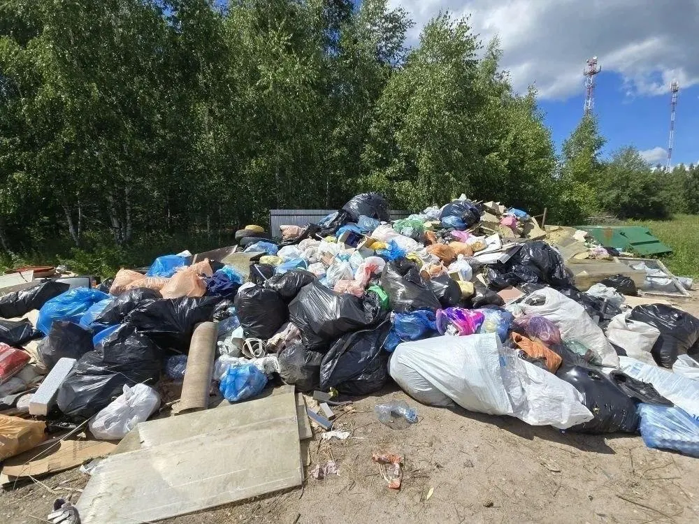 В одной из деревень Мещерского заповедника накопились бытовые отходы: жители жалуются, что вывоз мусора не ведут в течение двух недель, что создает риск для экосистемы и санитарии.