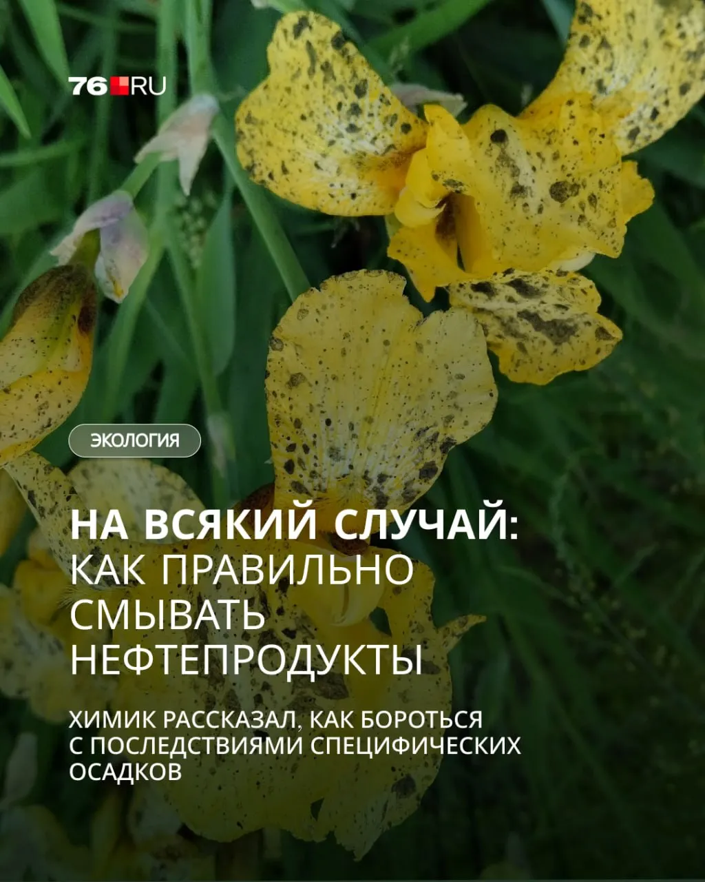 Тёмные осадки после пожара оказались продуктами горения (сажа). Эксперт рассказал, как правильно очищать кожу, одежду и шерсть животных от масляных и сажевых пятен.