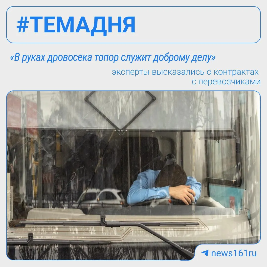 Эксперты считают, что нетто‑контракты могут упростить систему перевозок и снизить расходы, однако ключевым остаётся качество услуг и контроль за исполнением.