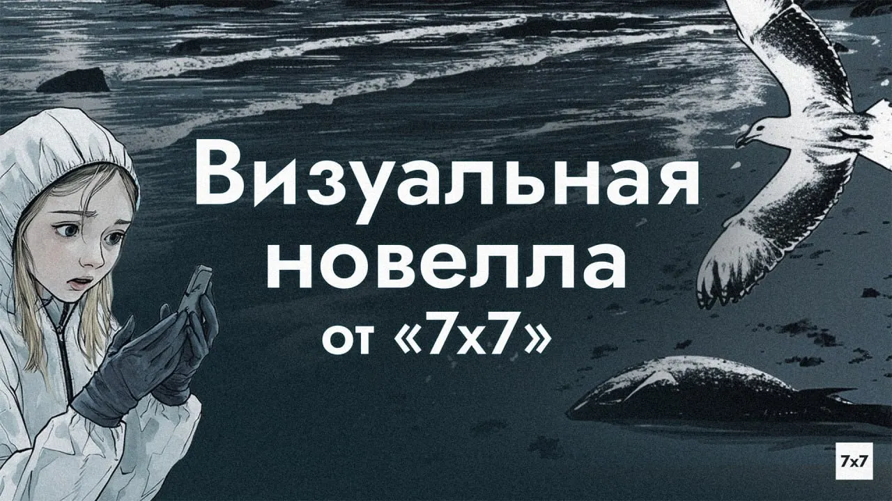 Визуальная новелла по мотивам интервью с реальными волонтёрами и репортажей о разливе мазута: игроки координируют штаб, борются с загрязнением и пытаются сохранить команду — в игре более 40 концовок.