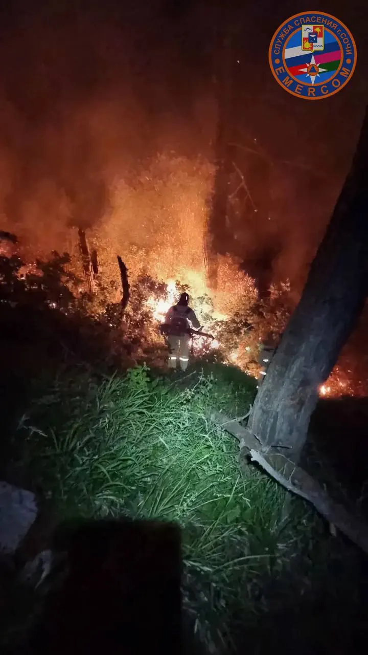 В Лазаревском районе Сочи, рядом с селом Солоники, с вчерашнего дня продолжается лесной пожар; тушение пока не завершено.