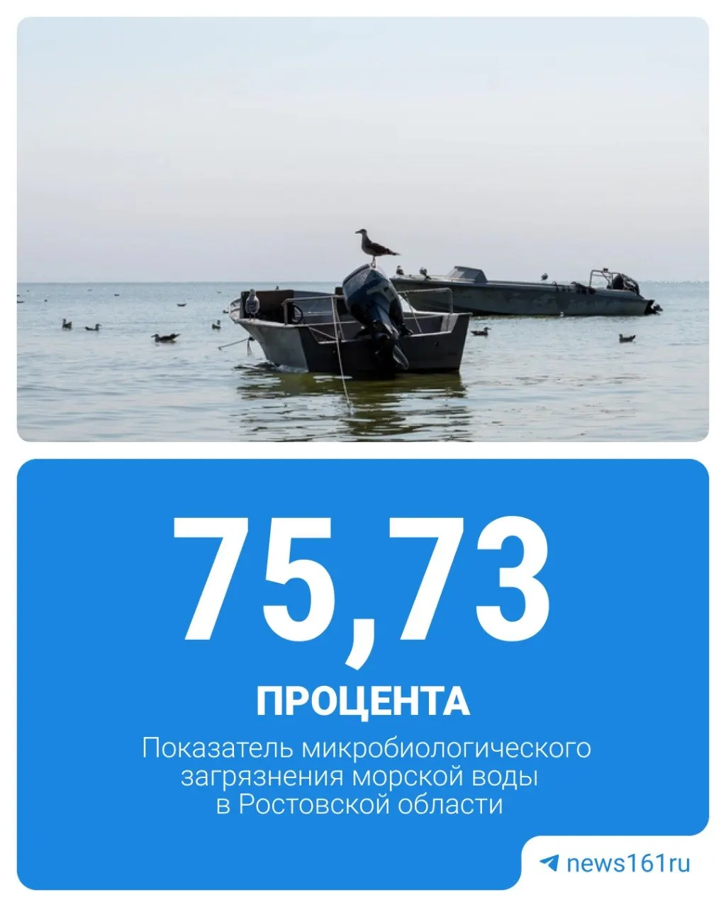 По данным Роспотребнадзора за 2025 год, 75,73% проб на побережье Таганрогского залива не соответствуют нормам; хуже показатели зарегистрированы только в Санкт-Петербурге и Хабаровском крае.