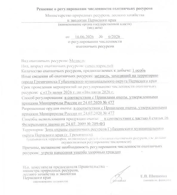 Региональные власти признали животное опасным для людей и планируют отстрел в рамках регулирования численности; усыпление и вывоз считают невозможными.