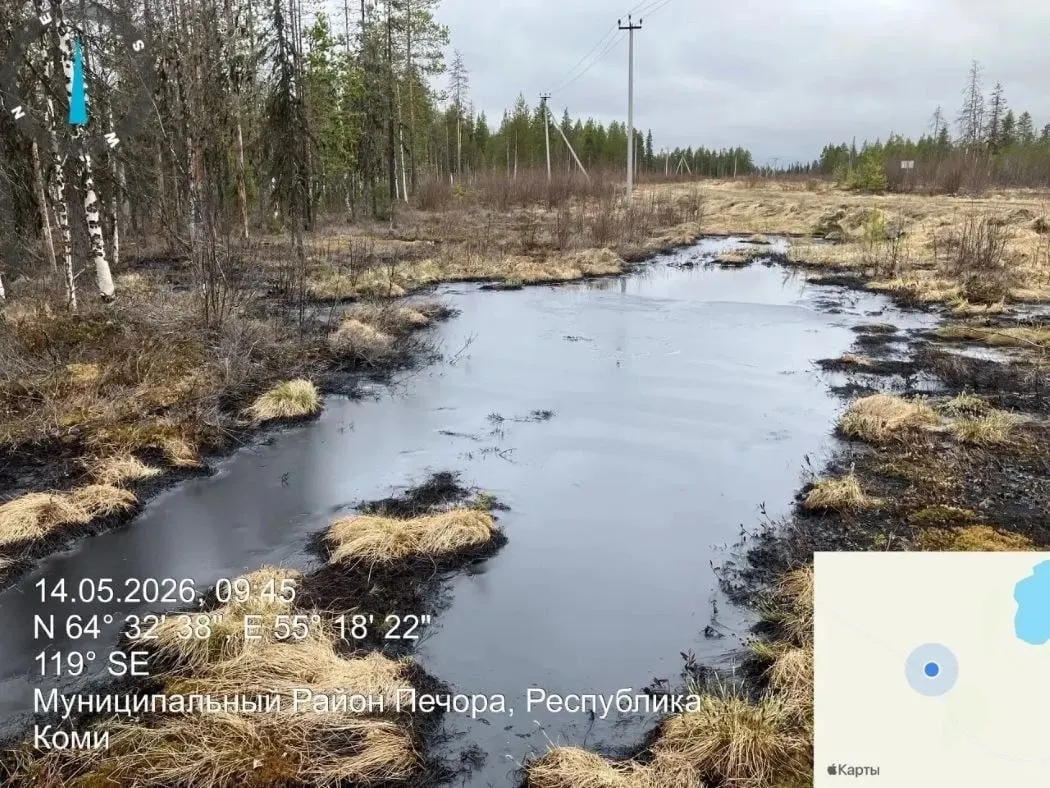 В Печорском районе из‑за коррозии трубопровода около пяти кубометров нефтесодержащей жидкости попали в Зеленоборское лесничество. Очистка ведётся, но работы завершены лишь частично.